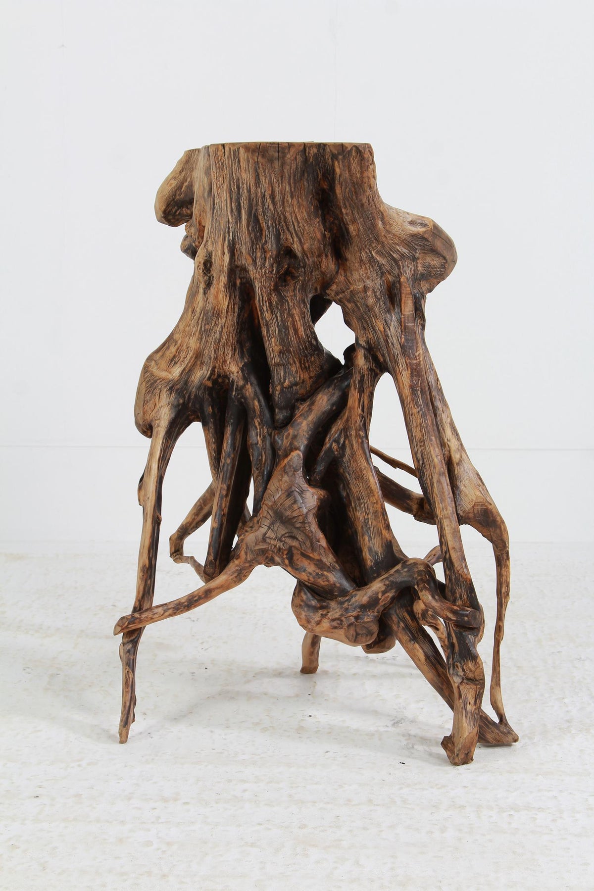 Rare Japanese Antique Wabi Wabi Tree Root Stand /Flower Stand or Side Table