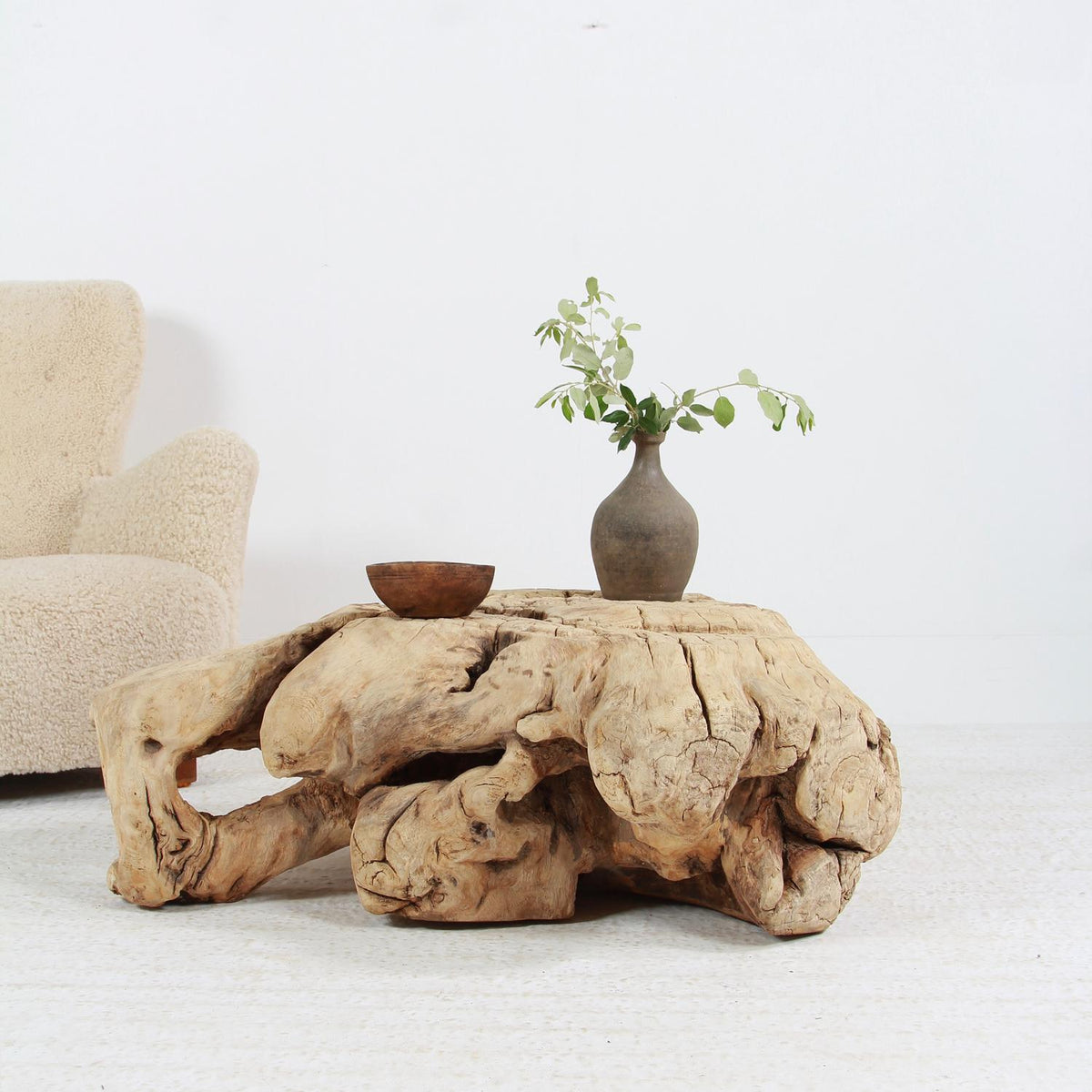 Huge Organically-Shaped Gnarly Wabi Sabi Tree  Stump Root Coffee Table