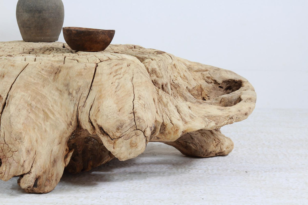 Huge Organically-Shaped Gnarly Wabi Sabi Tree  Stump Root Coffee Table