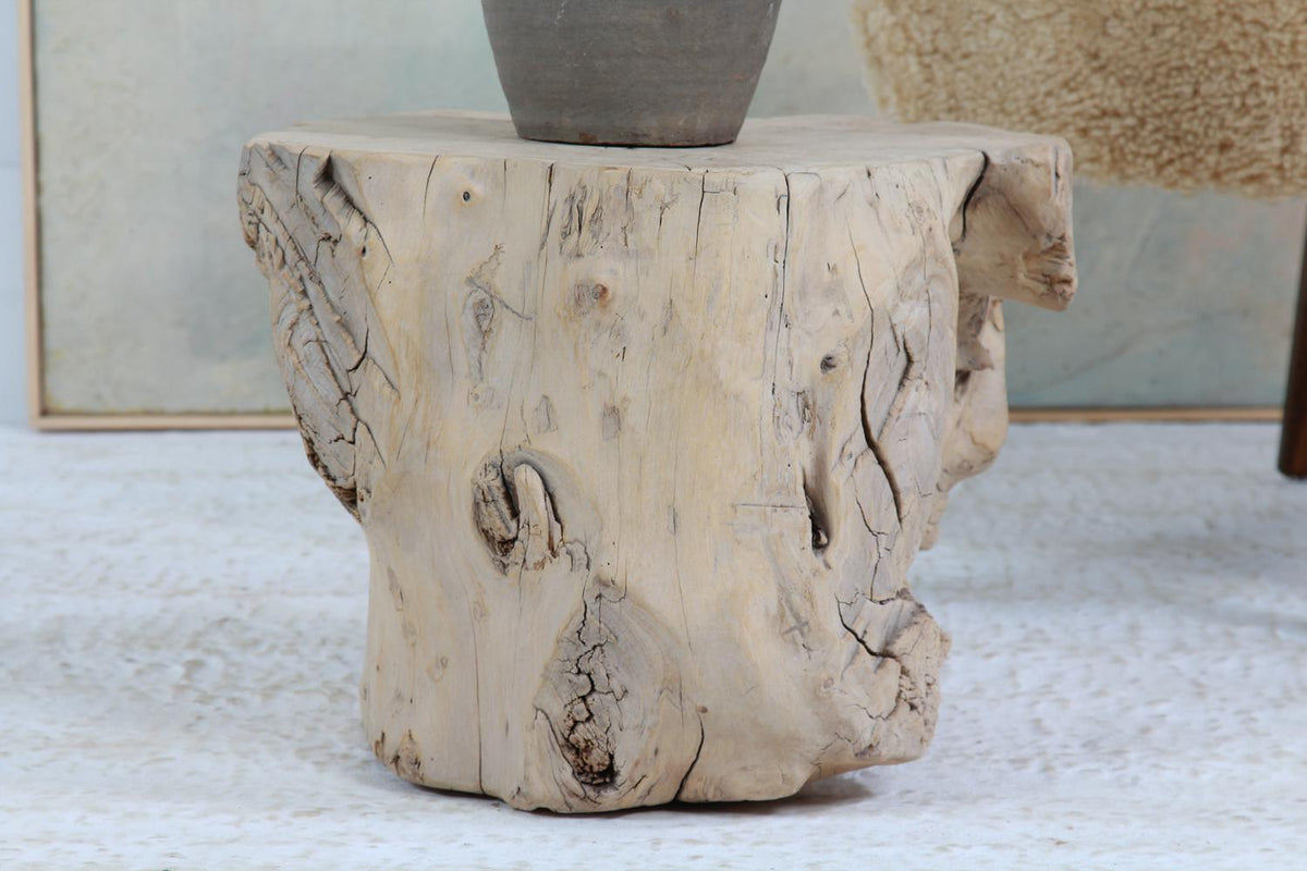 ORGANICALLY-SHAPED SMALL  GNARLY ELM TREE STUMP COFFEE TABLE