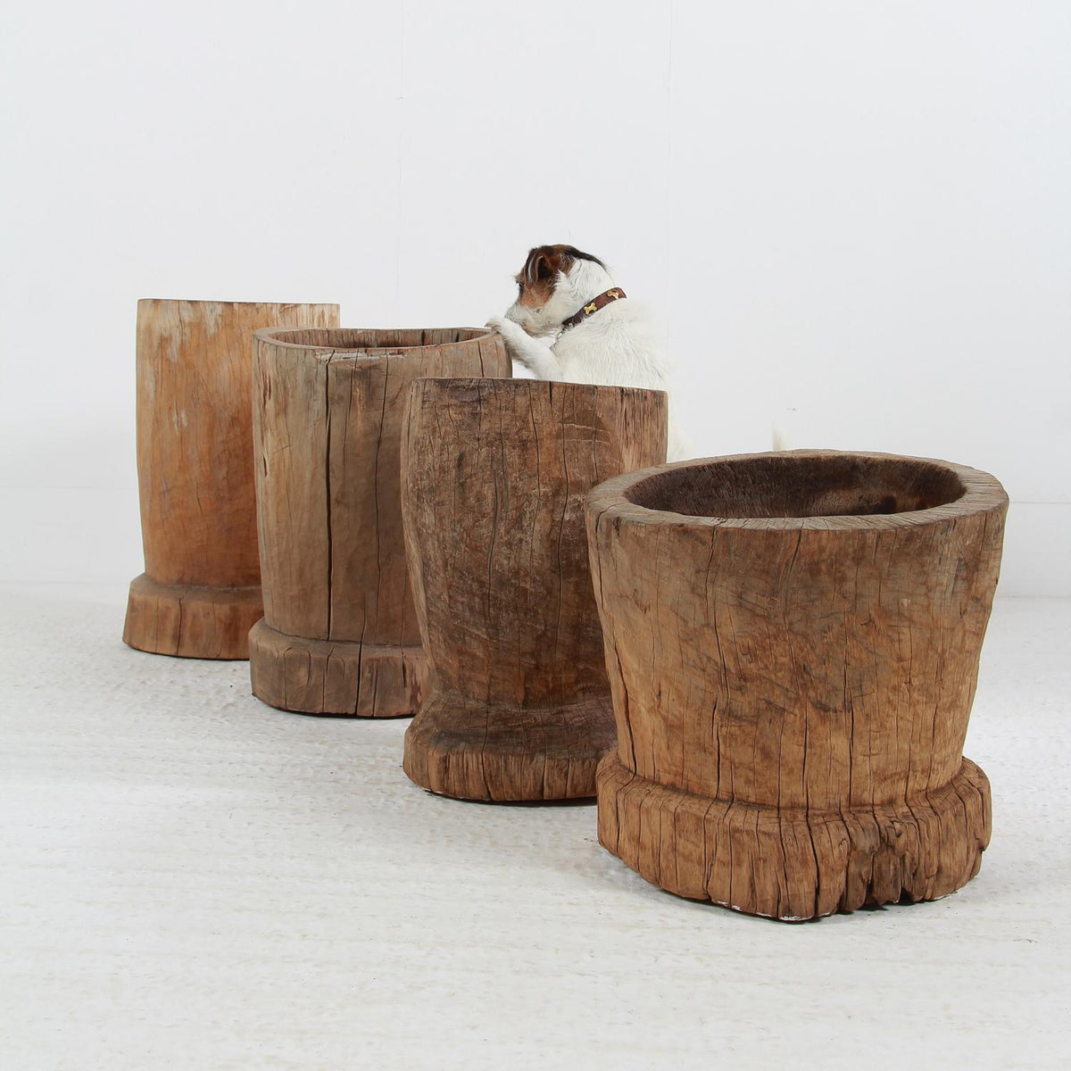 WONDERFUL COLLECTION OF GNARLY XL JAPANESE USU WOODEN MORTARS