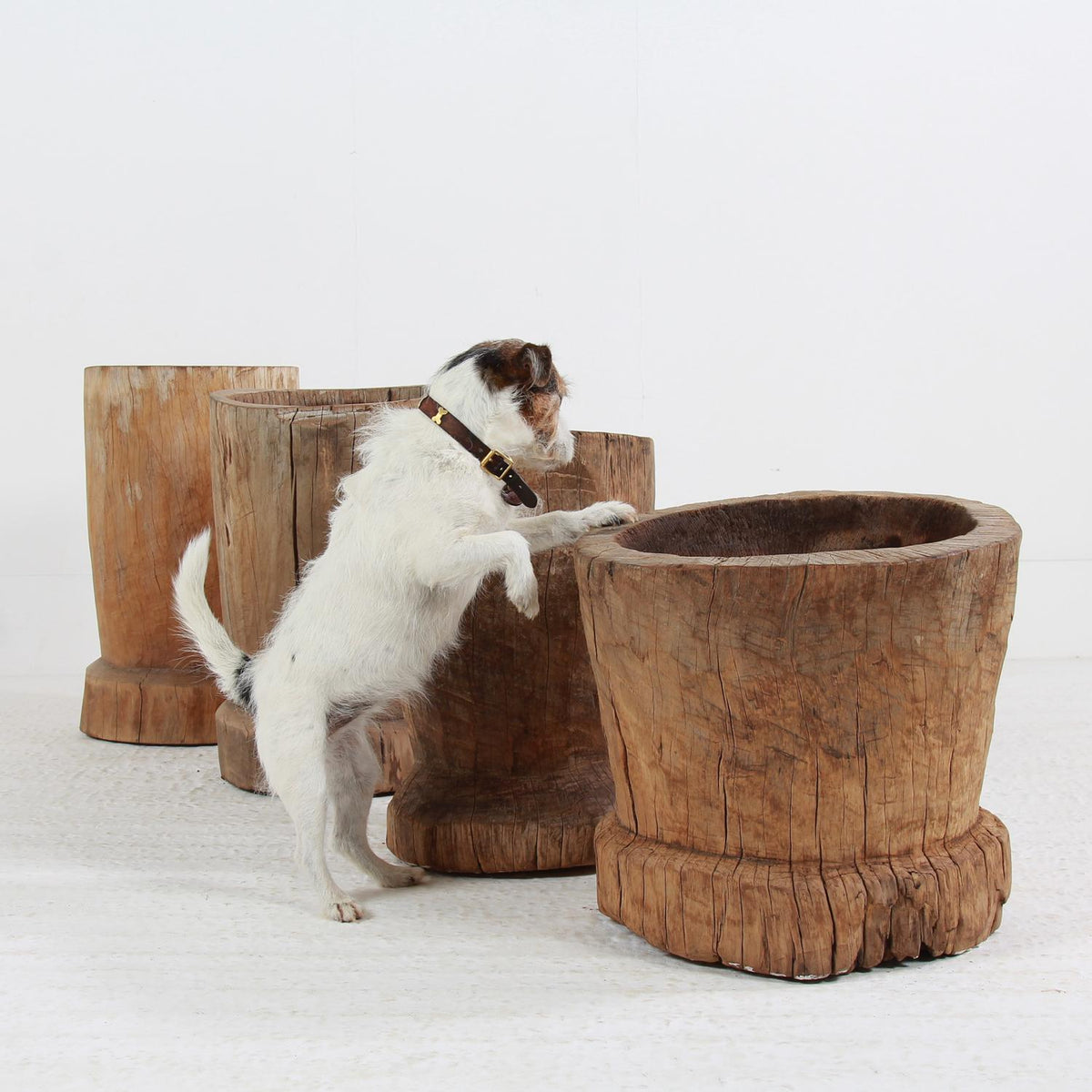 WONDERFUL COLLECTION OF GNARLY XL JAPANESE USU WOODEN MORTARS