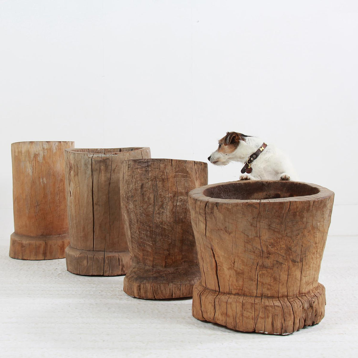 WONDERFUL COLLECTION OF GNARLY XL JAPANESE USU WOODEN MORTARS