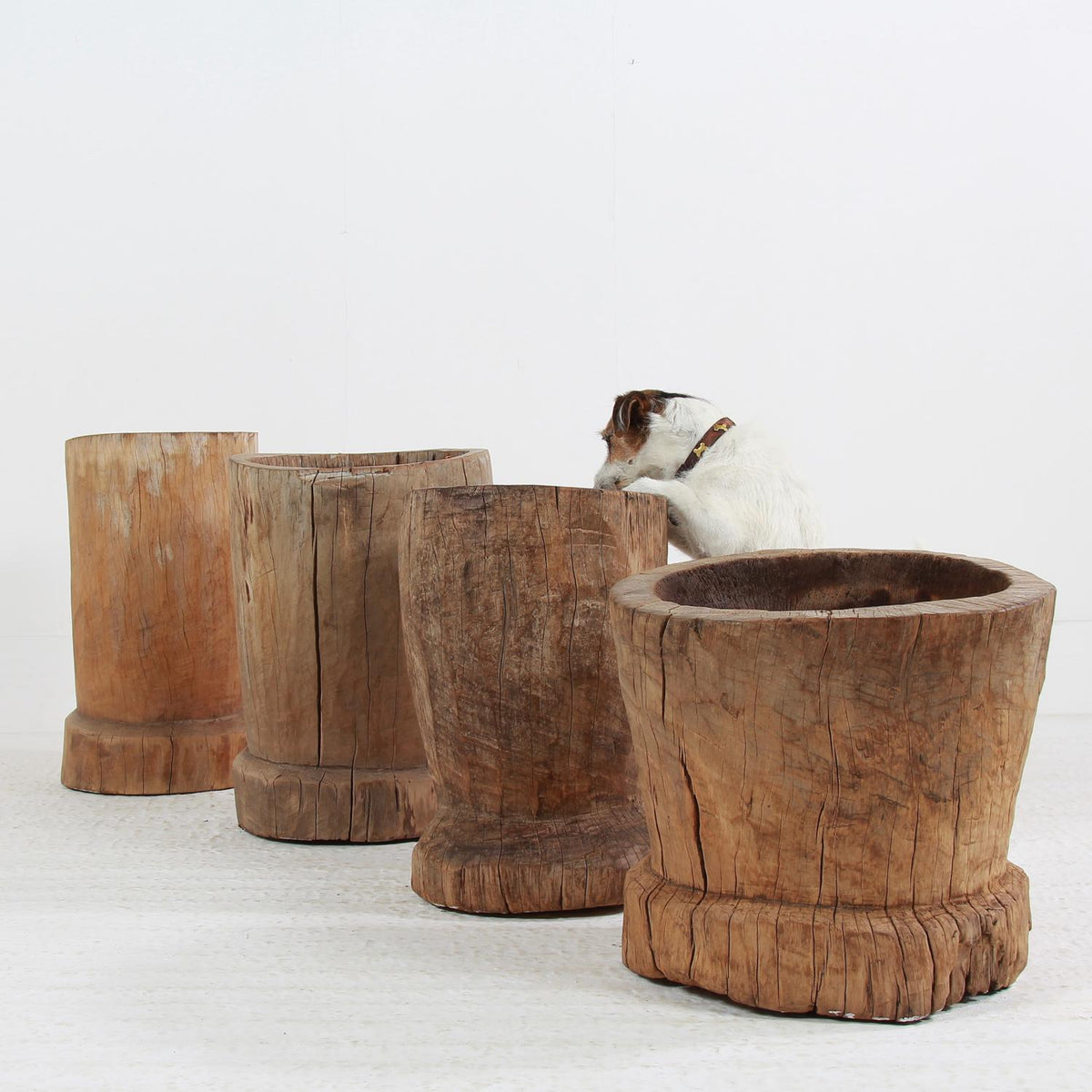 WONDERFUL COLLECTION OF GNARLY XL JAPANESE USU WOODEN MORTARS