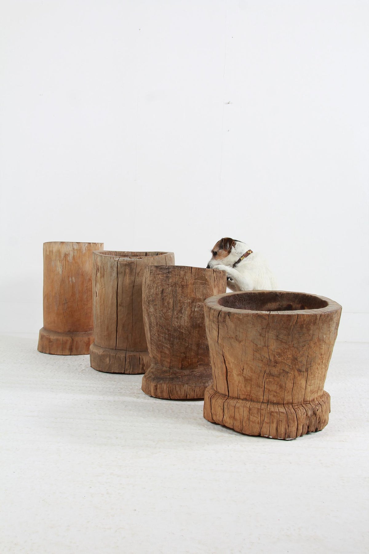 WONDERFUL COLLECTION OF GNARLY XL JAPANESE USU WOODEN MORTARS