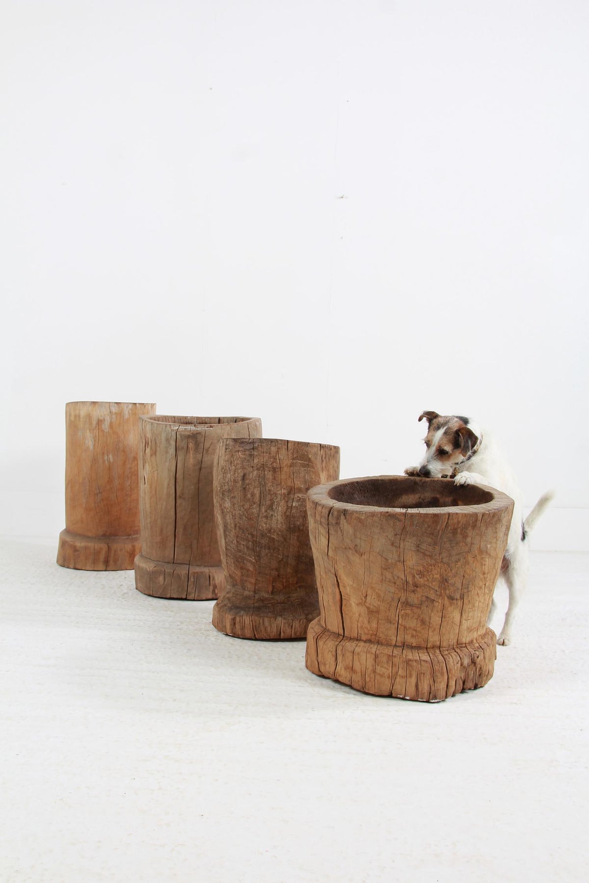 WONDERFUL COLLECTION OF GNARLY XL JAPANESE USU WOODEN MORTARS