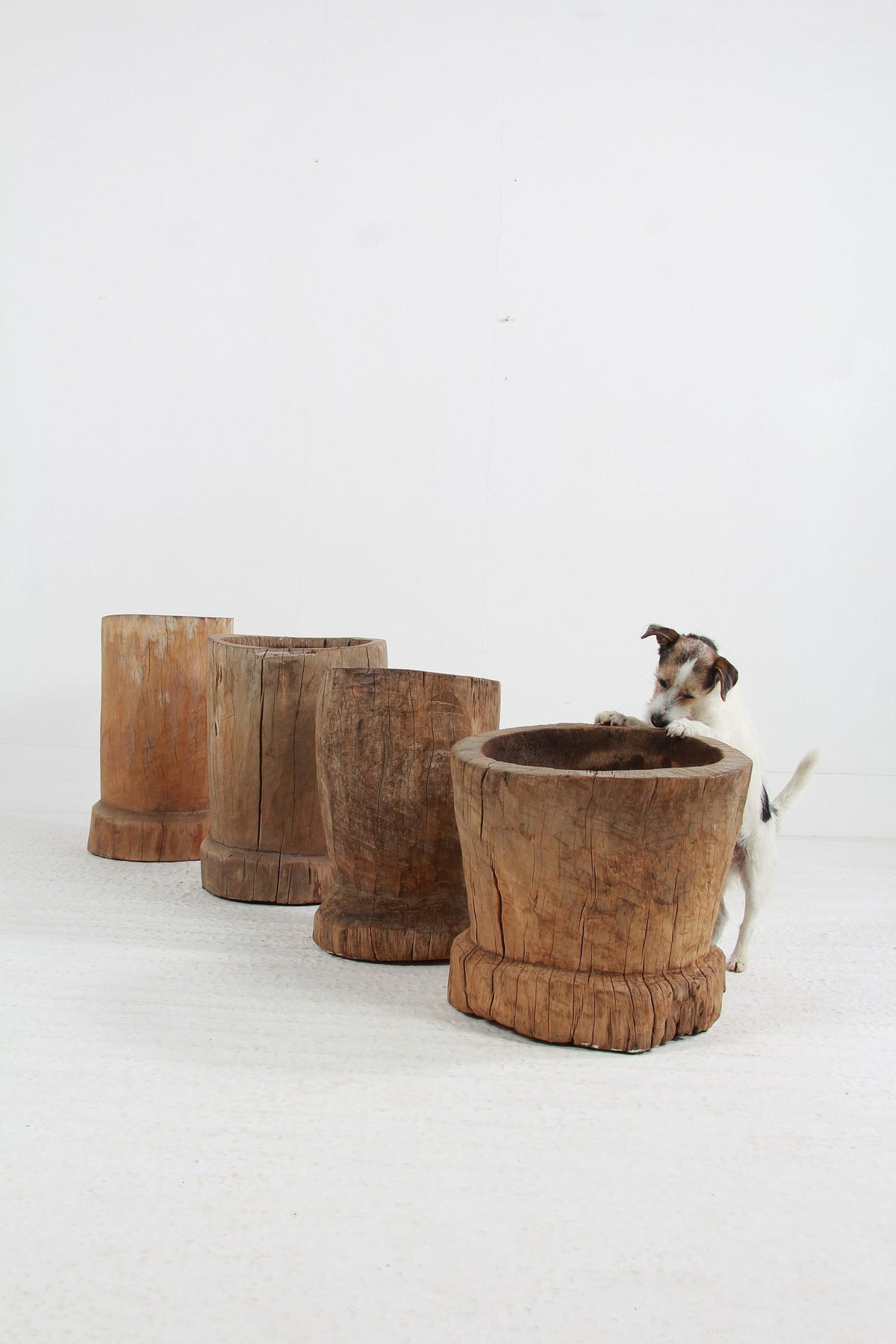 WONDERFUL COLLECTION OF GNARLY XL JAPANESE USU WOODEN MORTARS