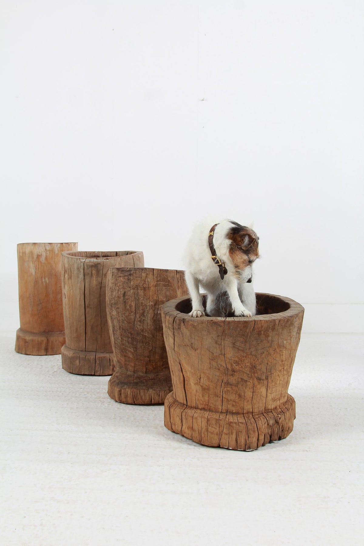 WONDERFUL COLLECTION OF GNARLY XL JAPANESE USU WOODEN MORTARS