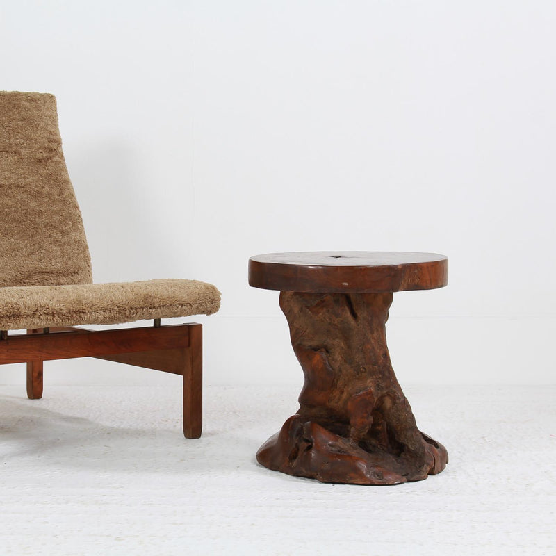 Primitive Tree Root Side/Occasional  Table