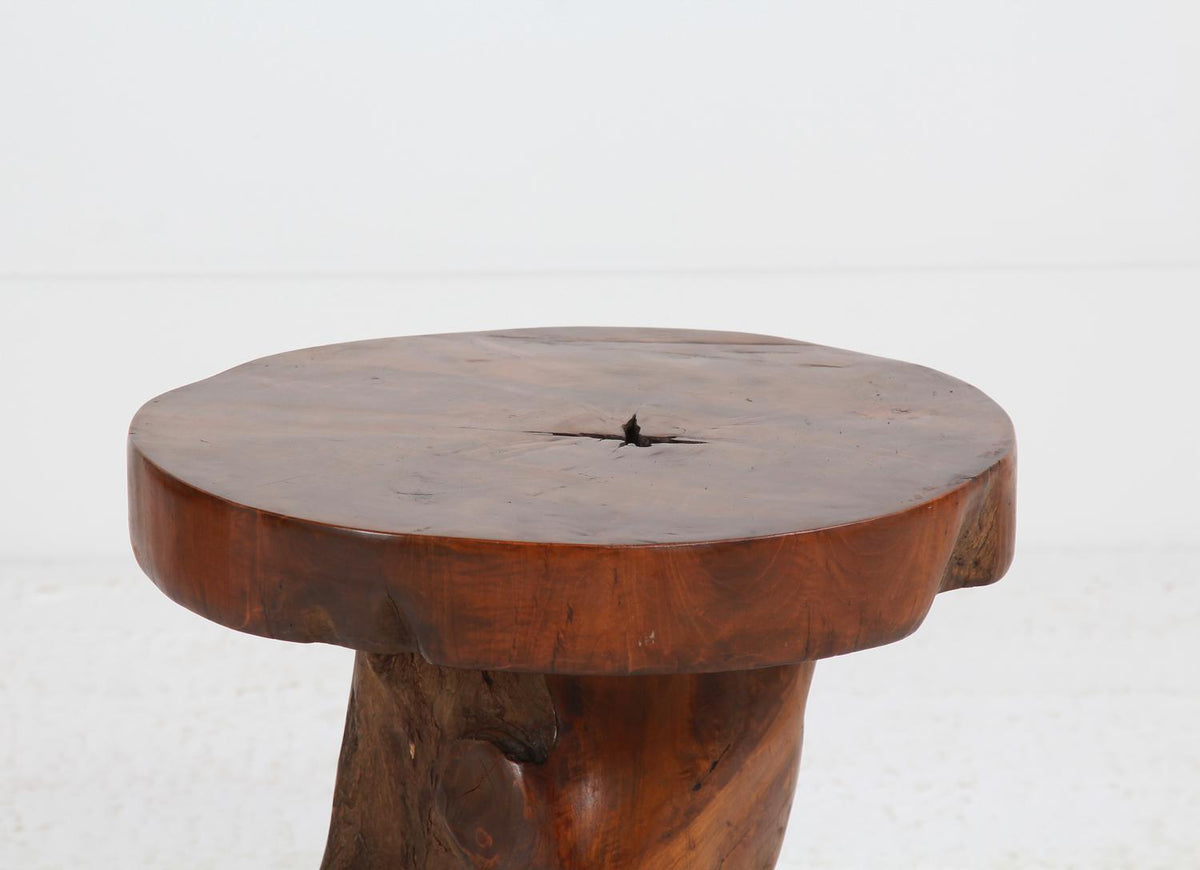 Primitive Tree Root Side/Occasional  Table