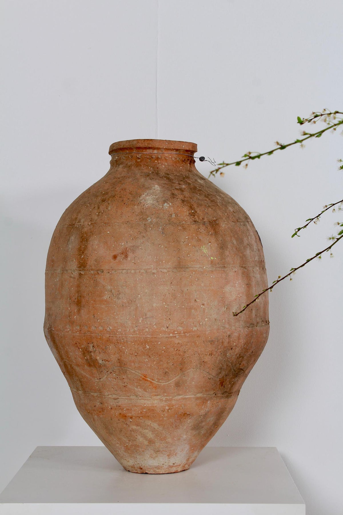 Greek  Mediterranean 19thC Terracotta Olive Jar