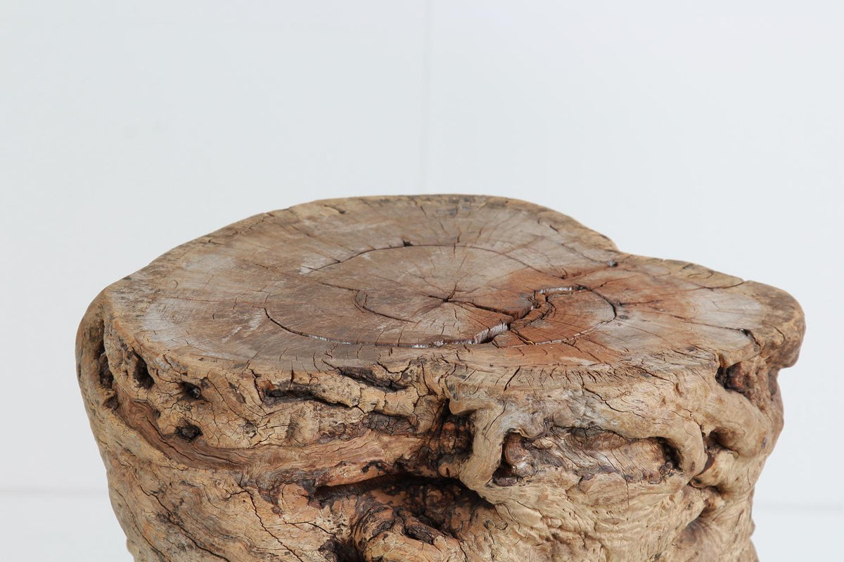 Beautifully Shaped Organic Gnarly Tree Stump Stools/Side Tables