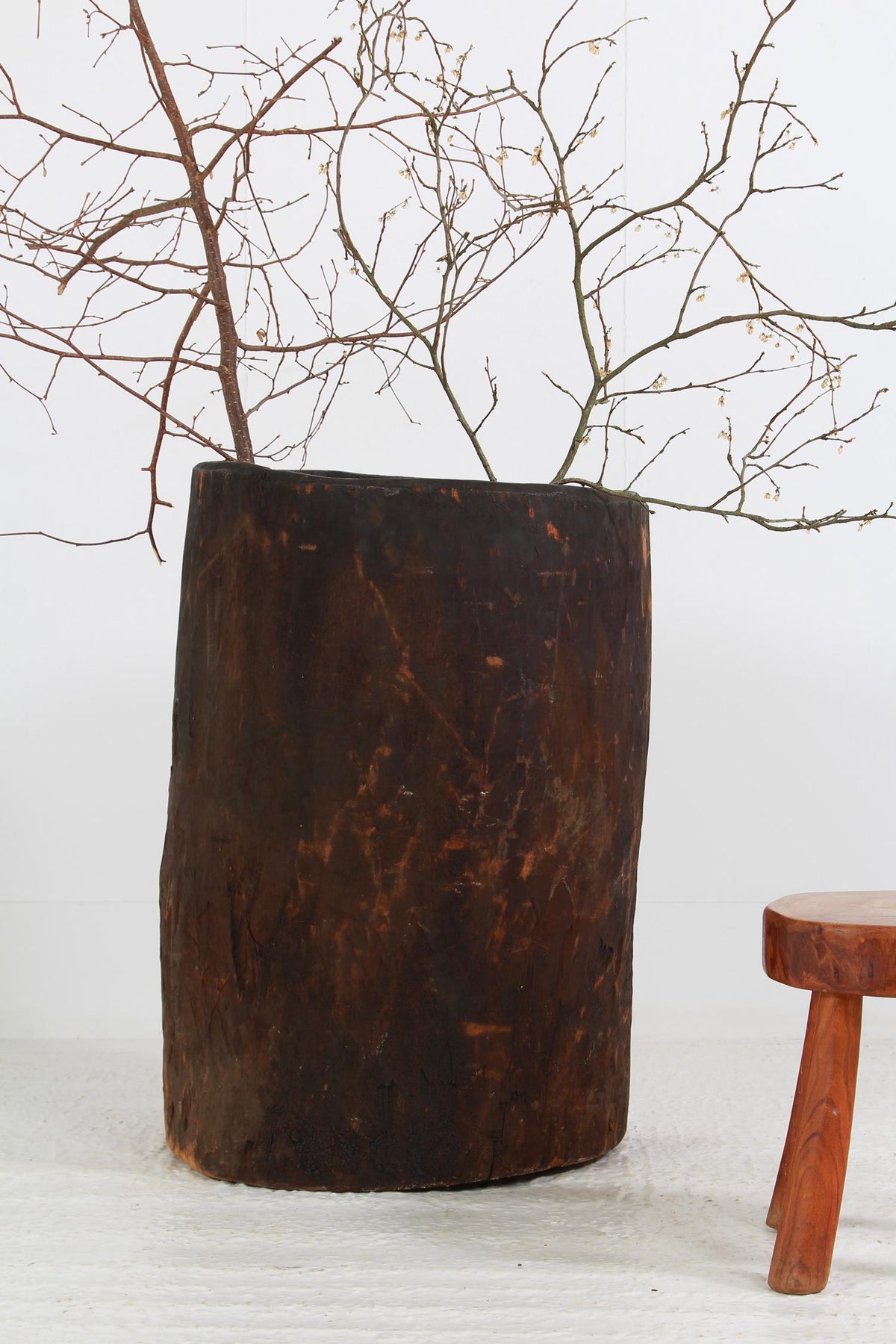 Unique XL Wood Container Made from Hollowed Out Tree Trunk