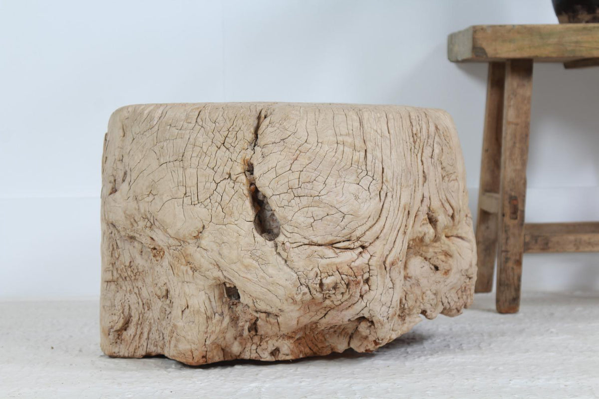 Enormous Unique Gnarly Elm Root Coffee/Side Table