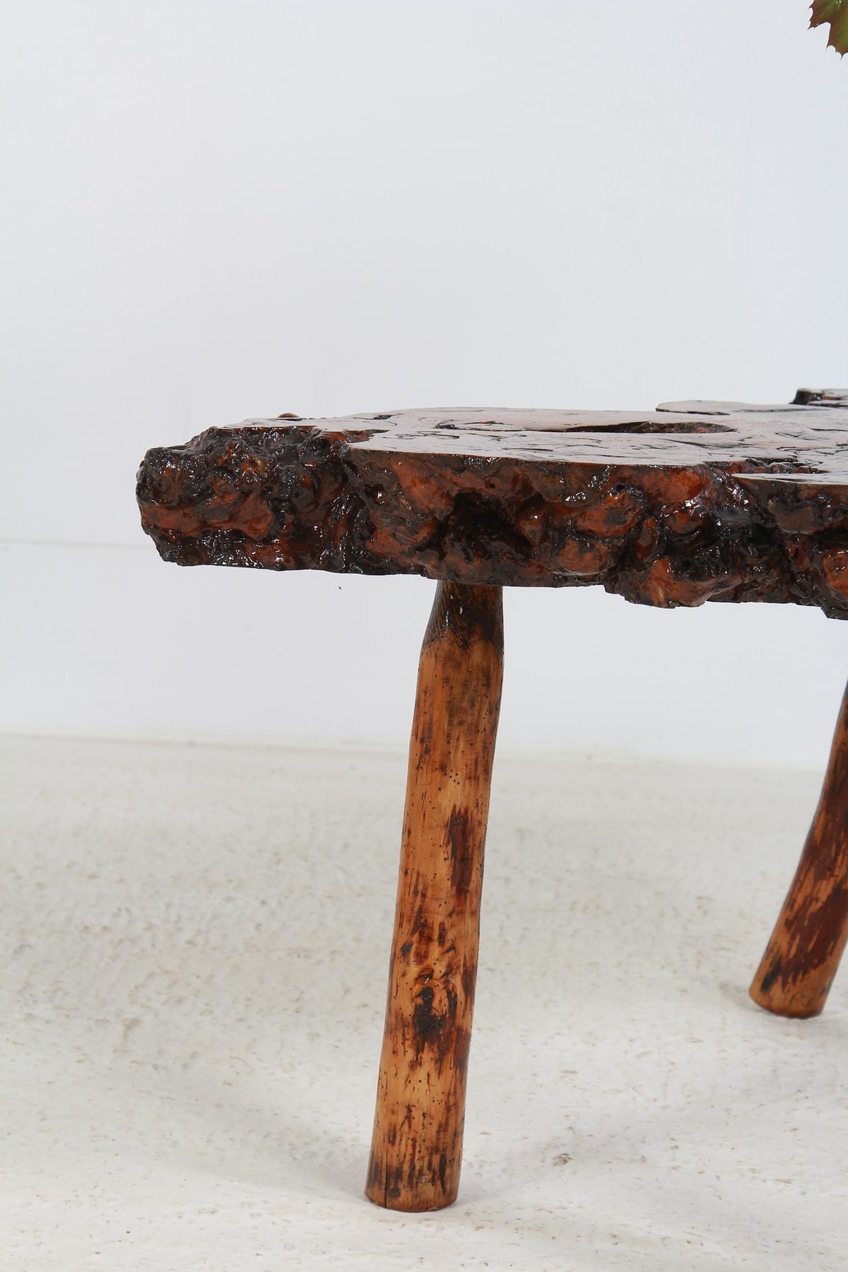 Unique Petrified Wood Top Coffee/Center Table