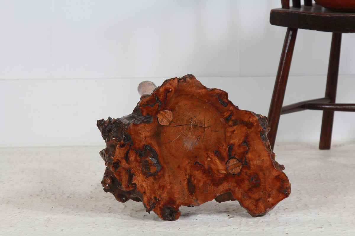 UNIQUE PETRIFIED GNARLY WOOD SIDE TABLE