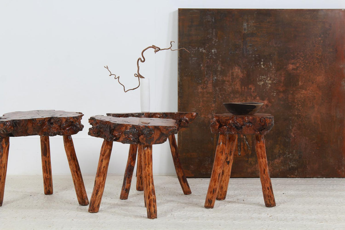 Collection of Four Petrified Wood Coffee/Side Tables