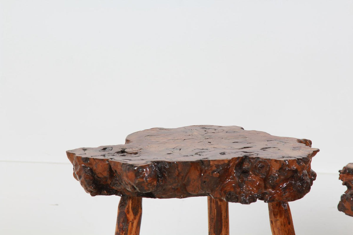 Collection of Four Petrified Wood Coffee/Side Tables