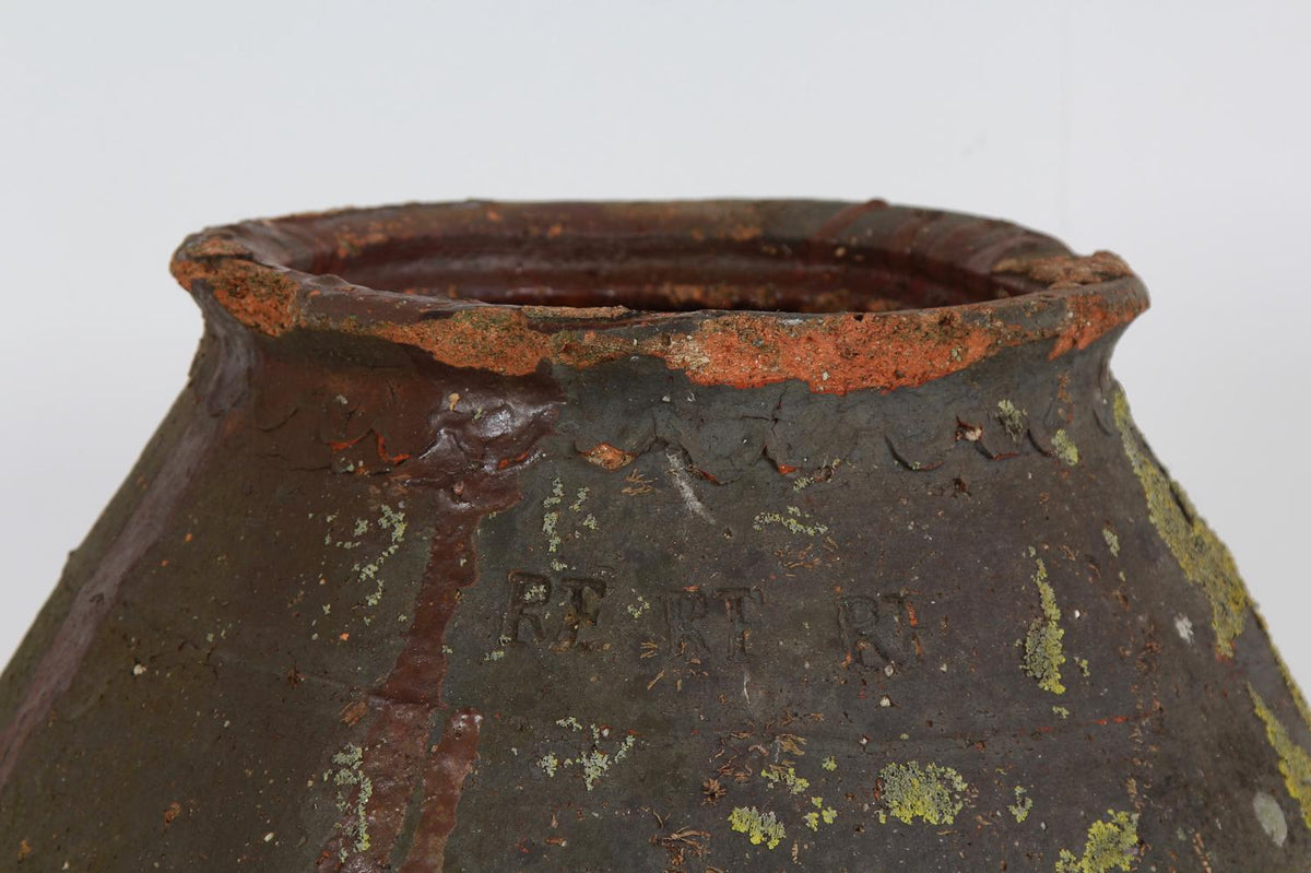 Beautiful Lichen Encrusted Earthenware  French Salting Pot
