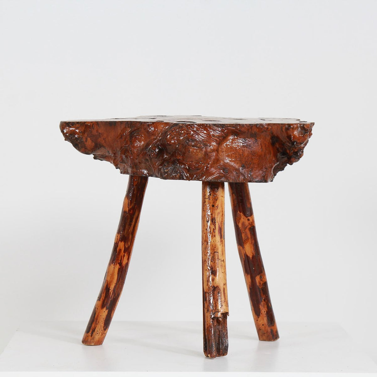Charming Gnarly Petrified Wood Coffee/Side Table