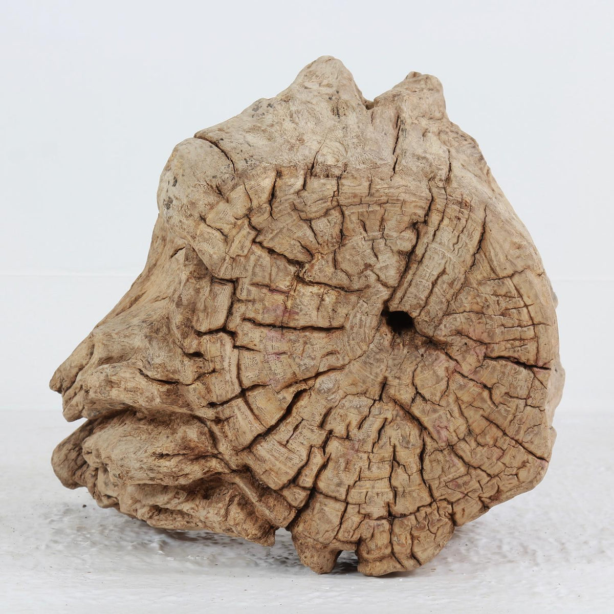 ORGANICALLY-SHAPED GNARLY ELM TREE STUMP ROOT COFFEE TABLE