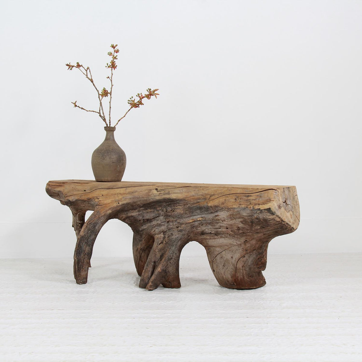 Impressive Primitive & Sculptural Root Coffee Table