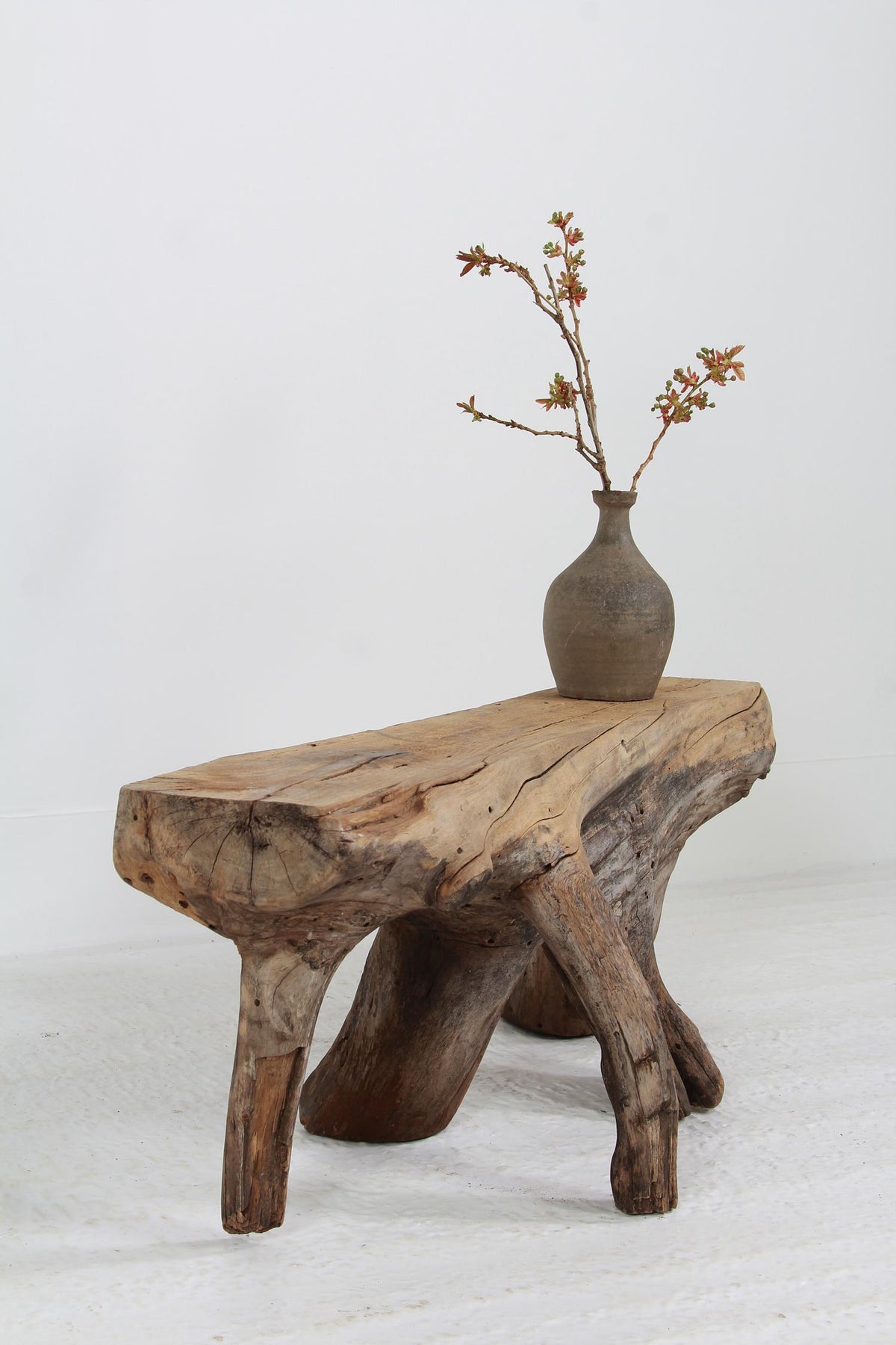 Impressive Primitive & Sculptural Root Coffee Table