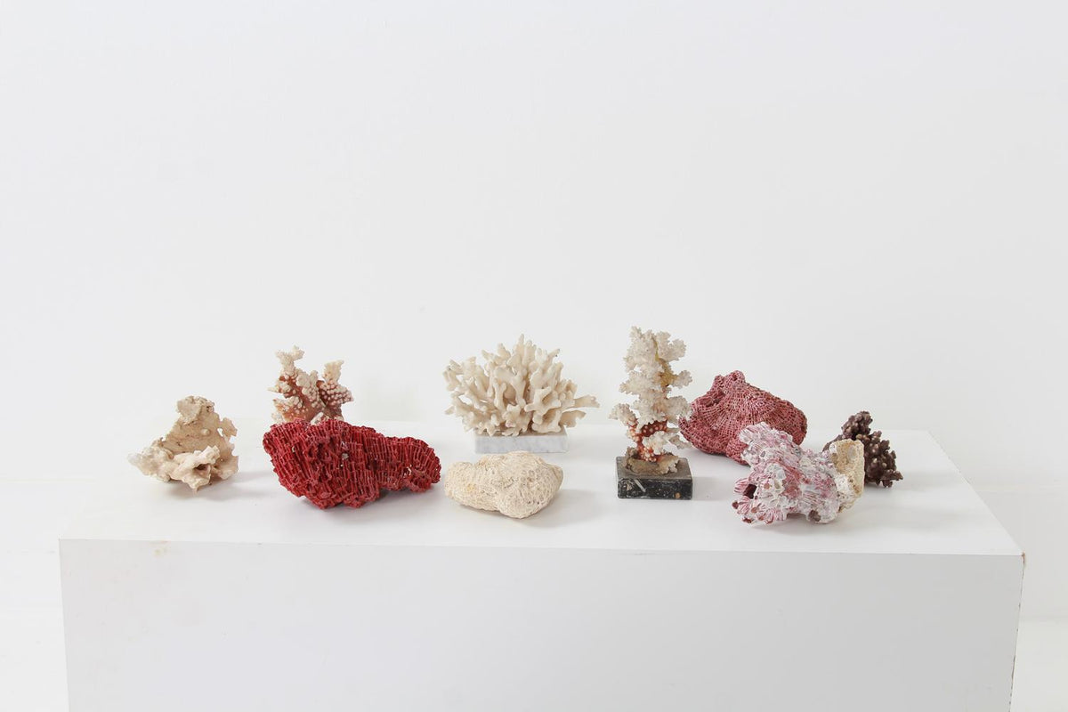 Collection of Nine Dramatic  Antique CORAL Pieces