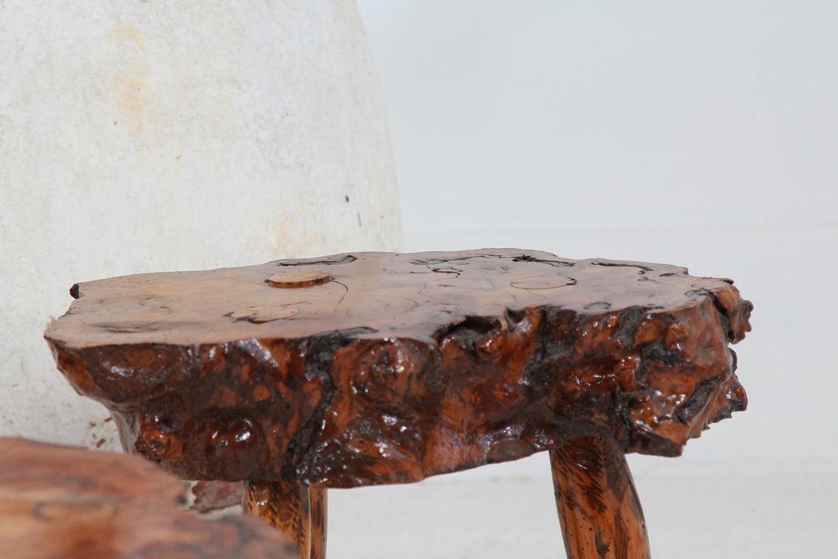 GNARLY PETRIFIED WOOD COFFEE/SIDE TABLES