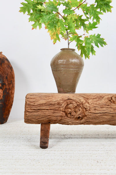 Wabi Sabi Gnarly Tree Log Bench or Coffee Table – Anton & K