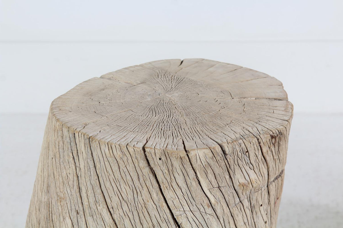 Natural Organic Wabi Sabi Tree Stump Pedestal Plinths