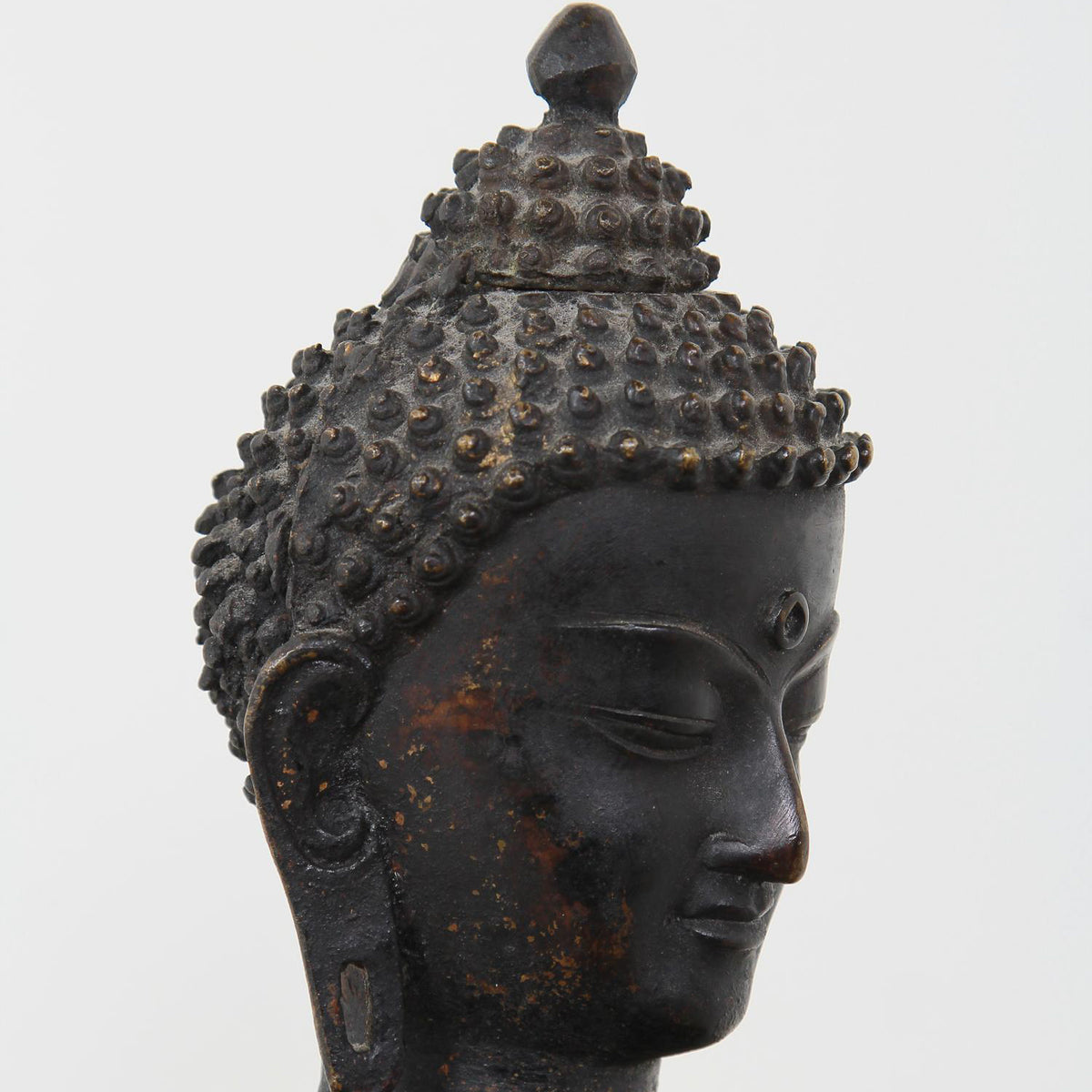 Beautiful Decorative Buddha With Serene Down Cast Eyes